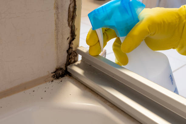 Best Mold Testing  in Las Lomas, CA